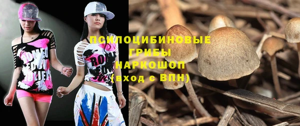mdpv Алзамай