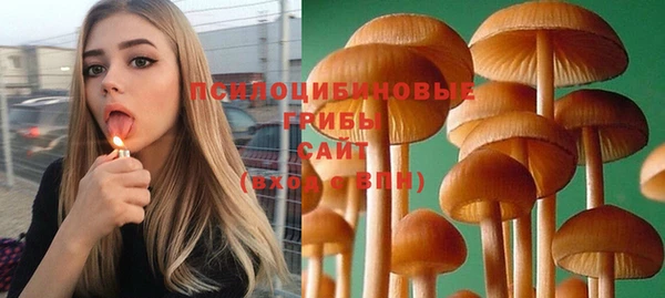 mdpv Алзамай