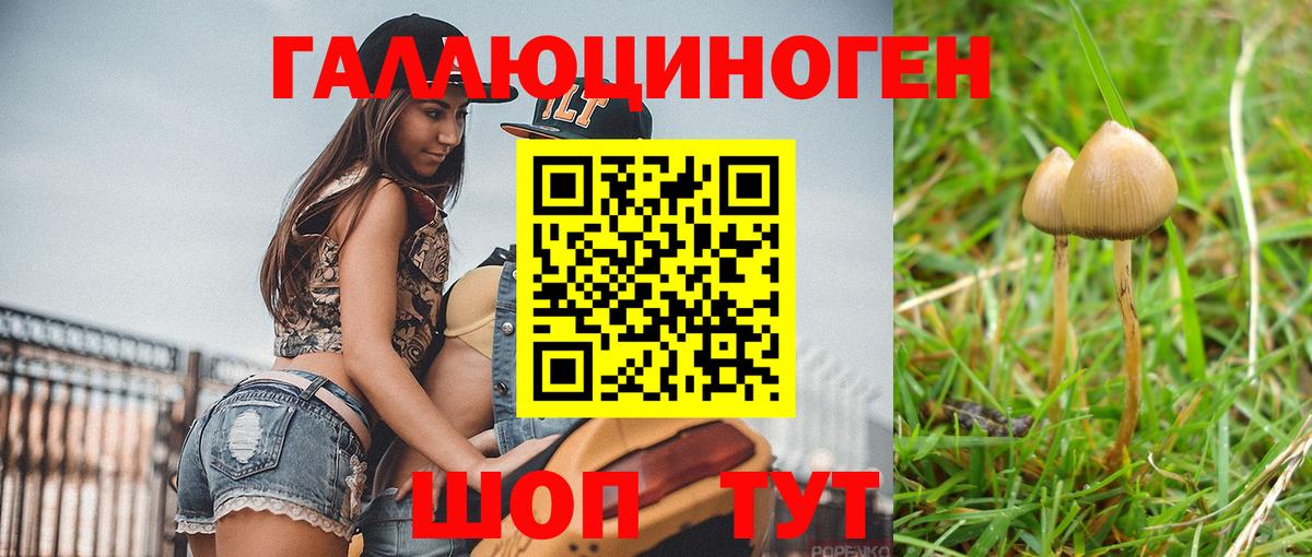 Псилоцибиновые грибы Cubensis Тында