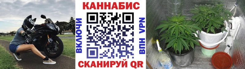 МАРИХУАНА тримм  omg рабочий сайт  Тында 